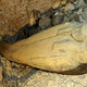 Illustration for article titled Newly discovered Egyptian tomb contains mummy of 3,000 year old singer